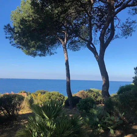 Apartment Bright Apartment, 5-minute Walk To Hyeres